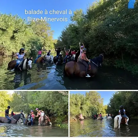 La Du Menhir D'hotes 3*