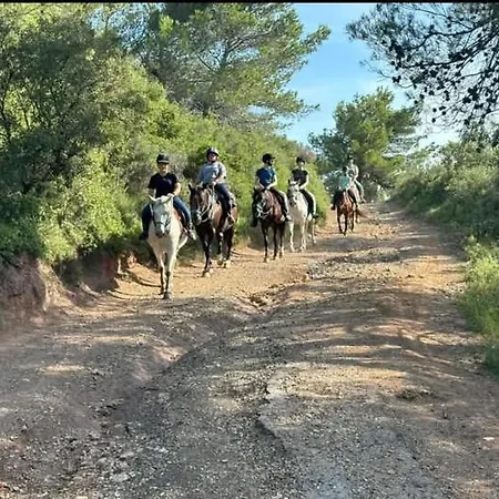 La Du Menhir D'hotes
